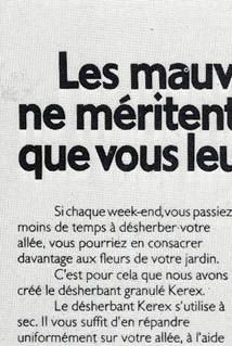SHELL CHIMIE