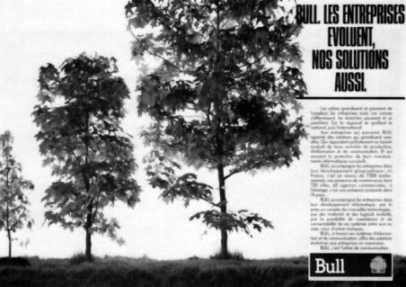 BULL