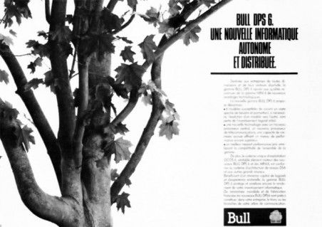 BULL