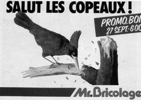 Mr. BRICOLAGE