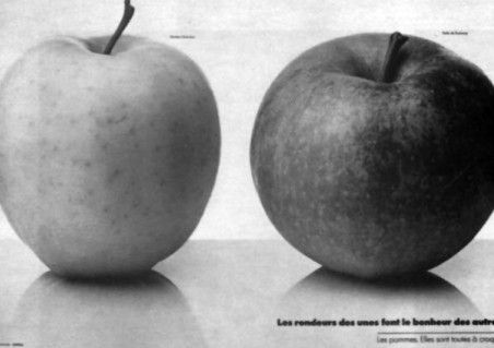 COLLECTIVITE DE LA POMME