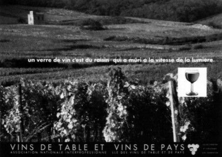 Vins