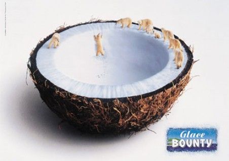 Bounty Glace