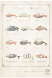 Surfrider Fondation