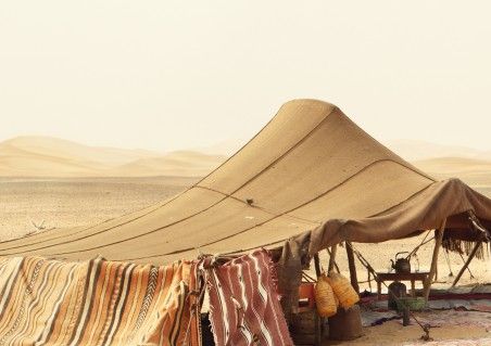 Le bedouin