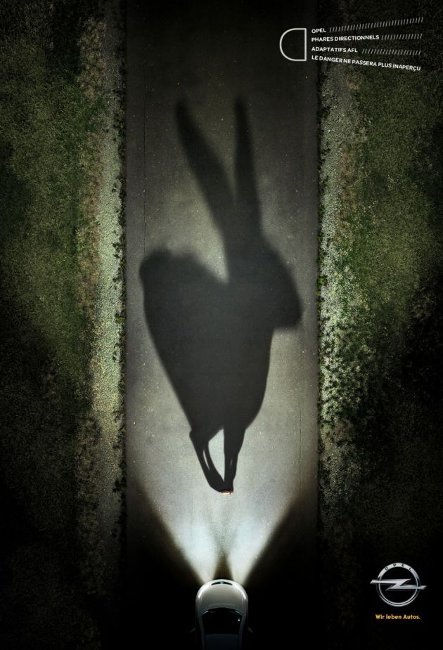 Les ombres - Le lapin