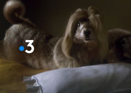 France 3
