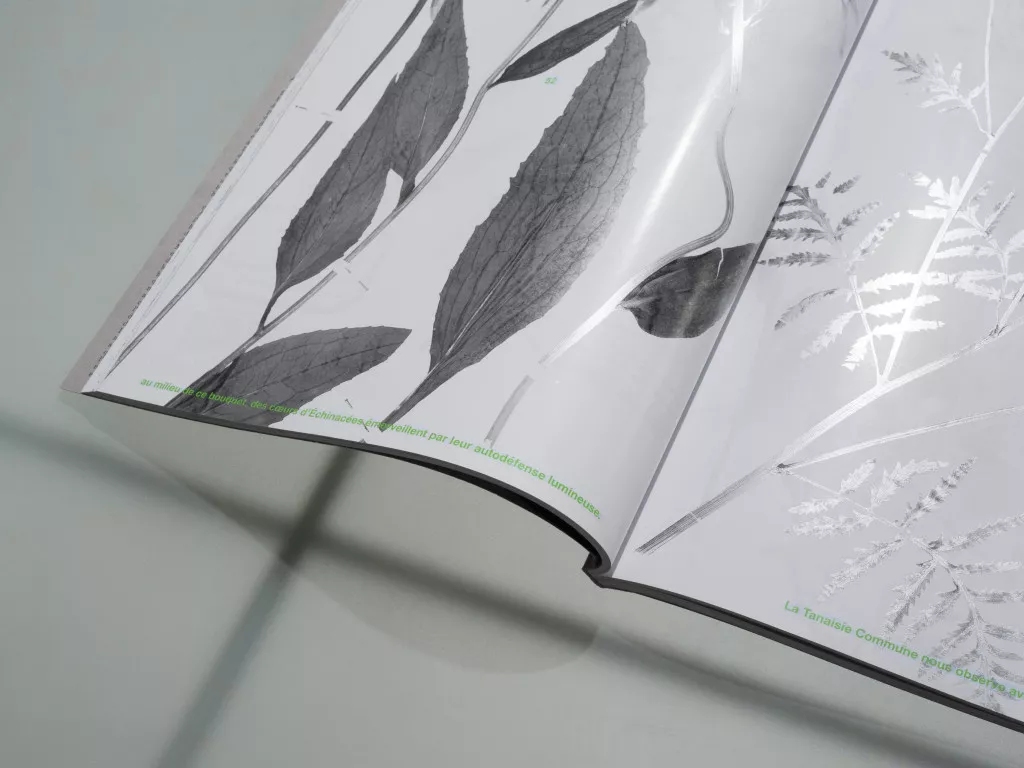 Marguerite Humeau – Surface Horizon