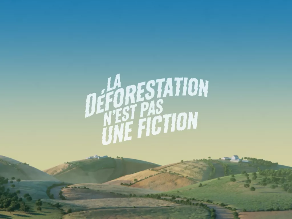 Deforestation is not a fiction