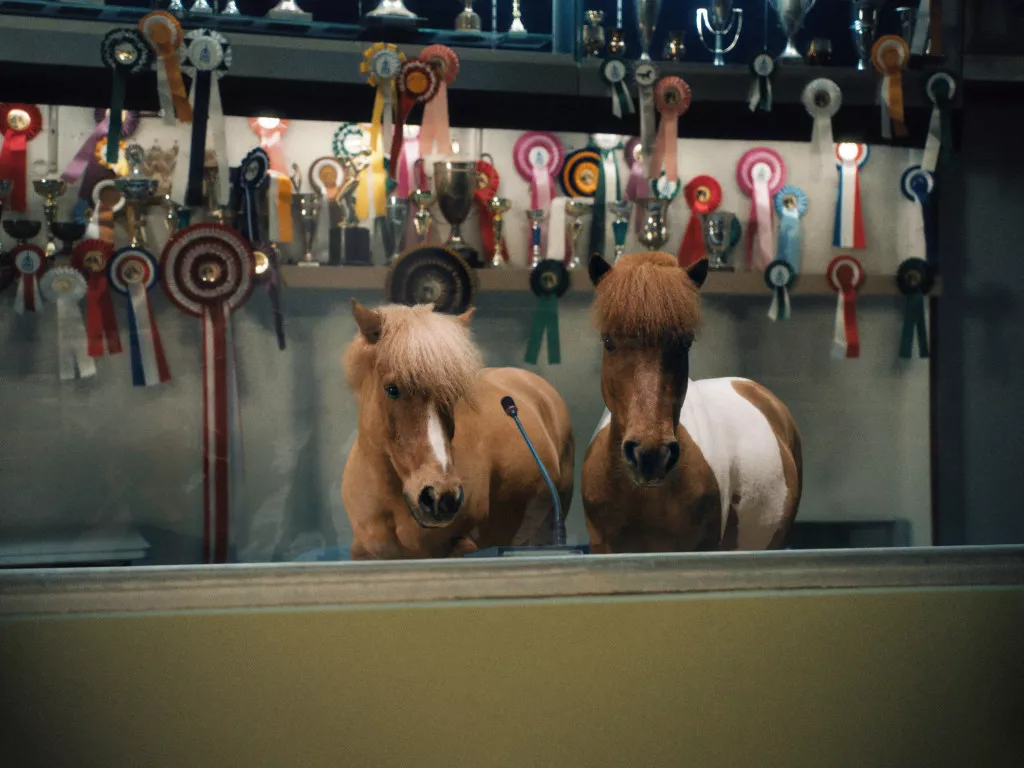 Pony Dance